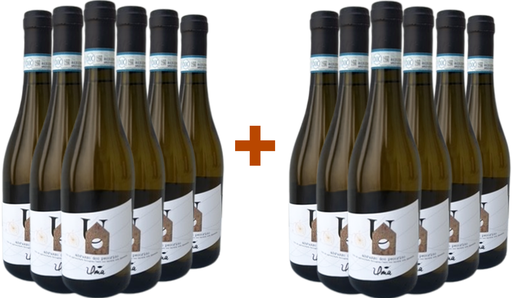 6+6 Paket Pecorino Abruzzo DOC BIO 6+6 Paket Pecorino Abruzzo DOC BIO