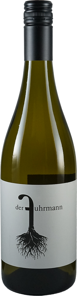 2024 Chardonnay BIO