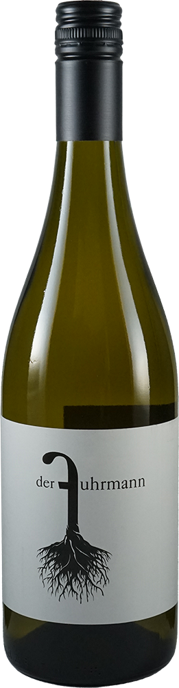 2024 Chardonnay BIO 2024 Chardonnay BIO