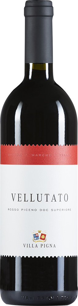 2021 VELLUTATO Rosso Piceno Superiore DOC 2021 VELLUTATO Rosso Piceno Superiore DOC