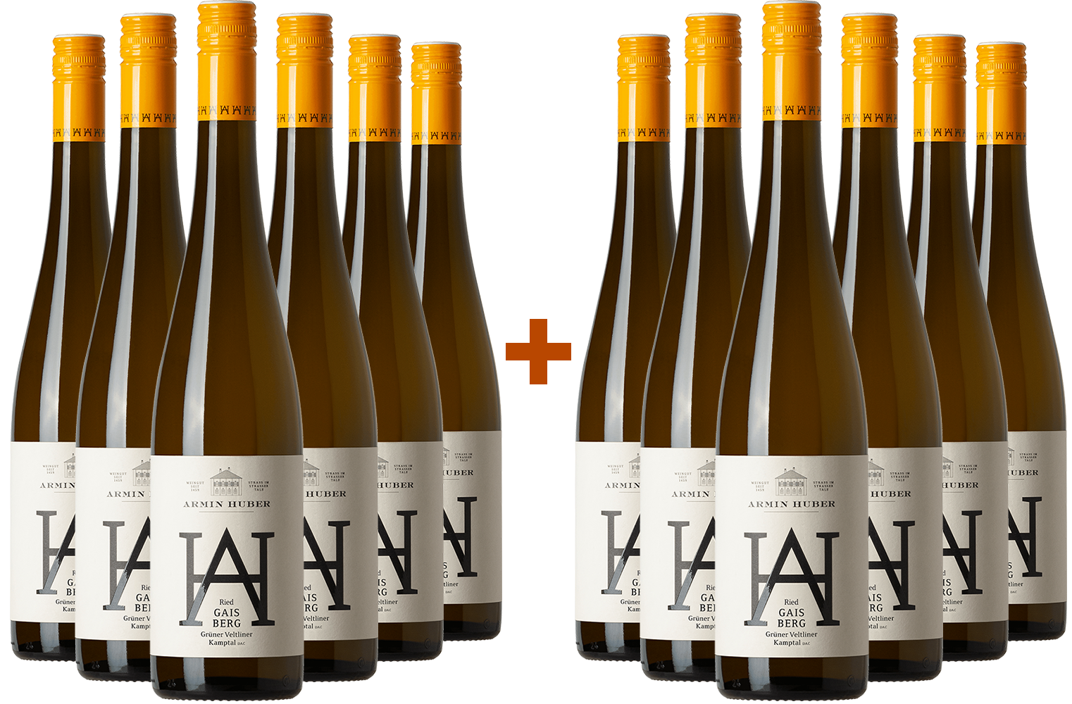6+6 GAISBERG Kamptal DAC BIO Paket BIO 6+6 GAISBERG Kamptal DAC BIO Paket BIO