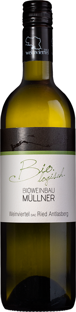 2025 Weinviertel DAC Antlasbergen BIO