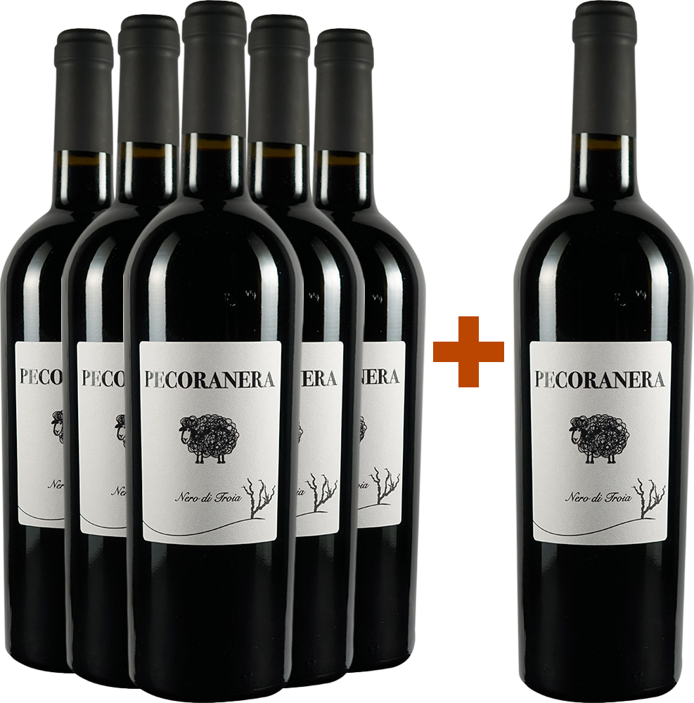 5+1 Paket Pecoranera Puglia IGP