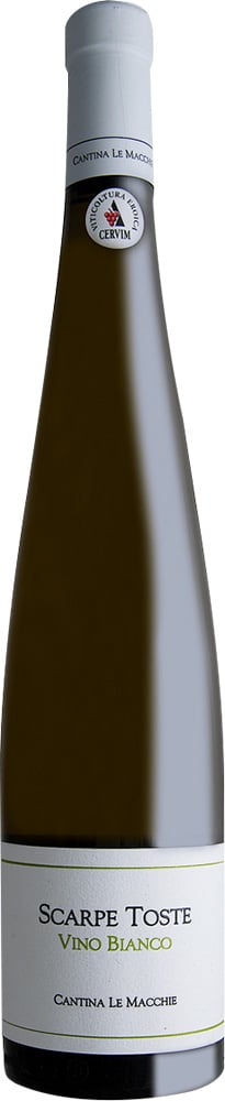 2024 Scarpe Toste 2024 Scarpe Toste