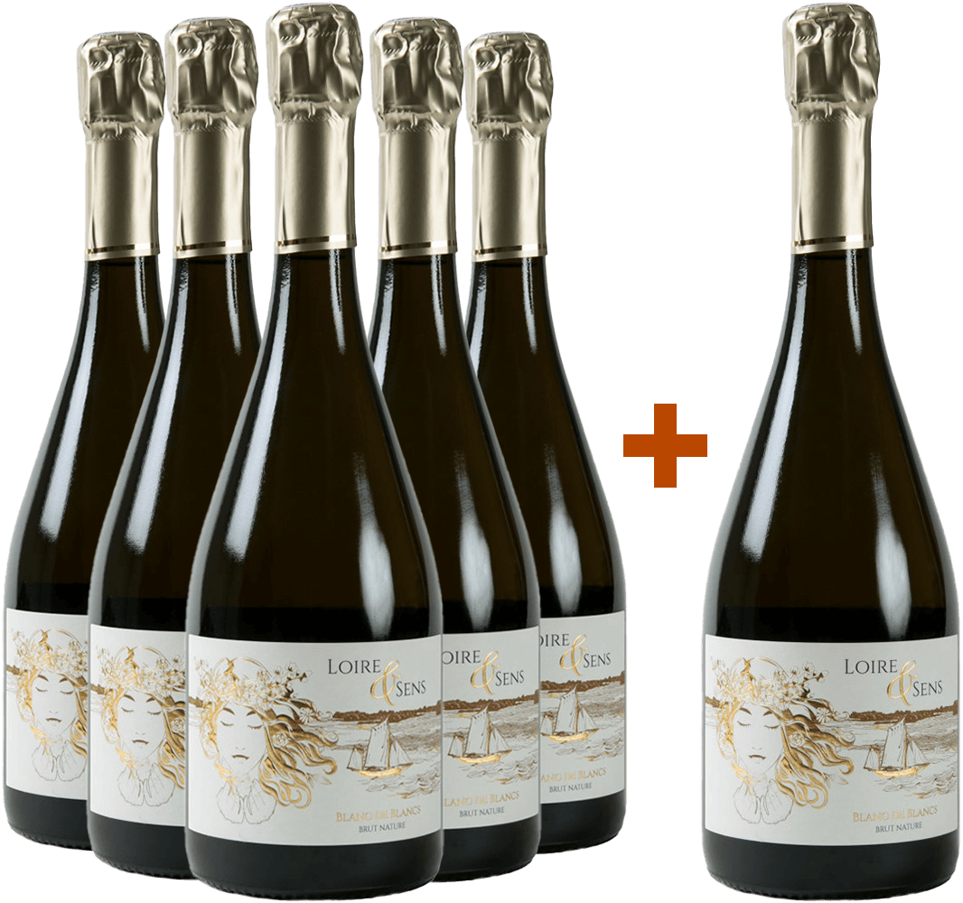 5+1 Paket "Loire & Sens" Crémant de Loire AOP