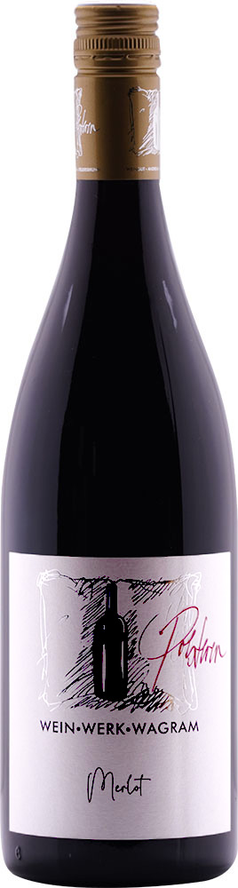2022 Merlot