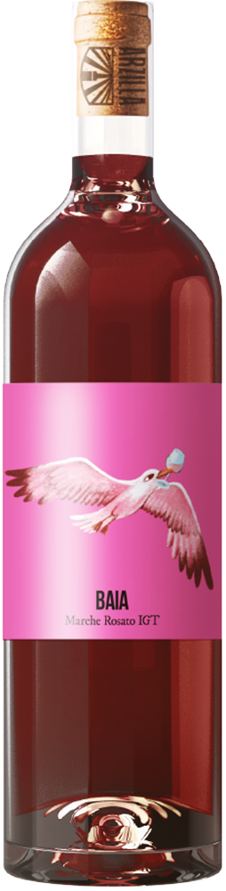 2023 Baia Marche IGP