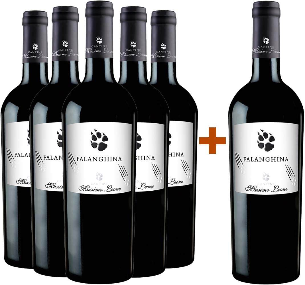 5+1 Paket Falanghina Puglia IGP