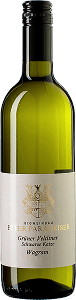 2024 Grüner Veltliner Schwarze Katze BIO 2024 Grüner Veltliner Schwarze Katze BIO