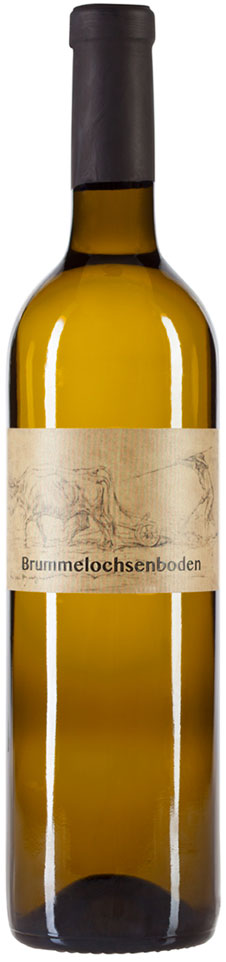 2024 Riesling vom Brummelsochsenboden 2024 Riesling vom Brummelsochsenboden