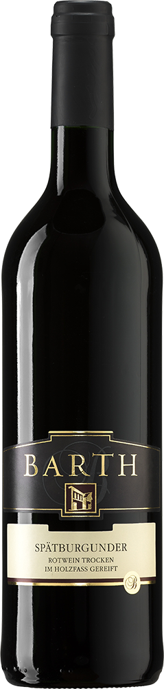 2020 Spätburgunder Rotwein 2020 Spätburgunder Rotwein