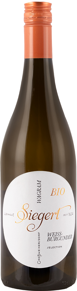 2024 Weissburgunder Selection BIO 2024 Weissburgunder Selection BIO