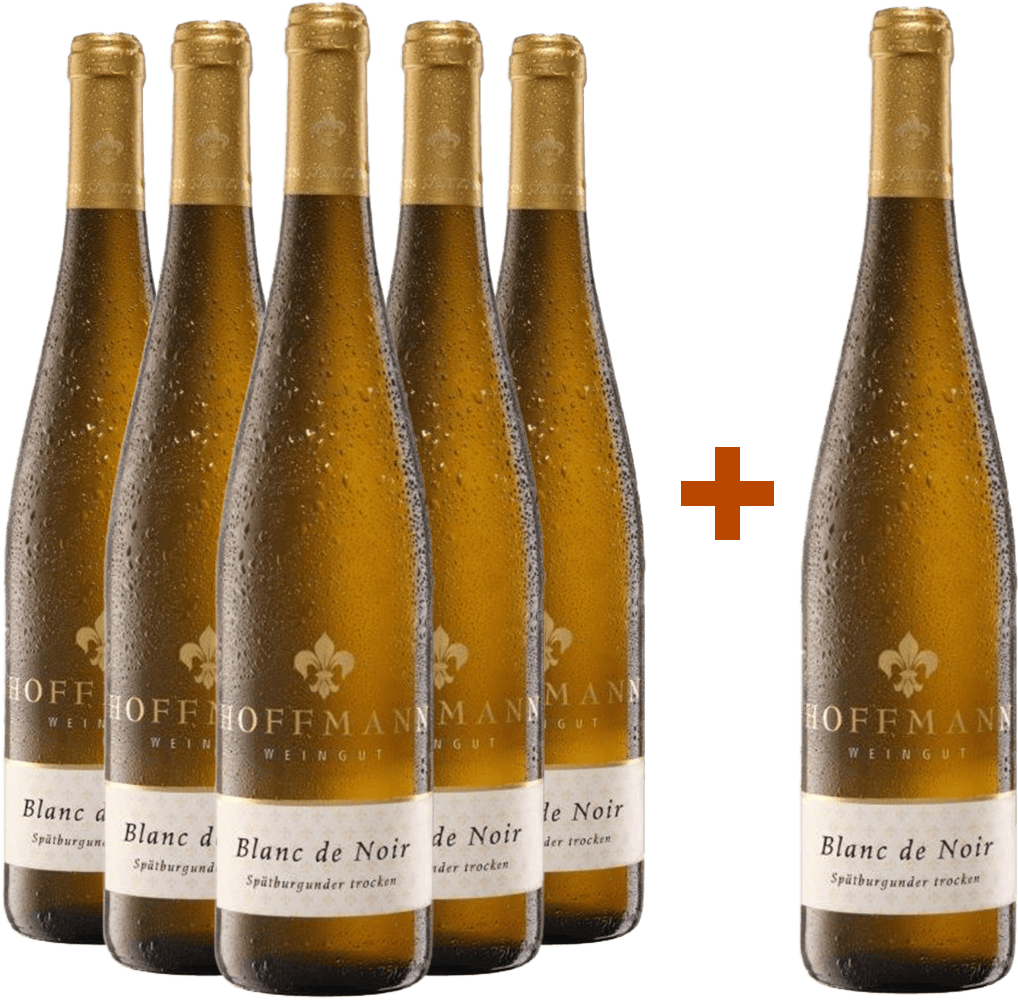 5+1 Paket Blanc de Noir trocken