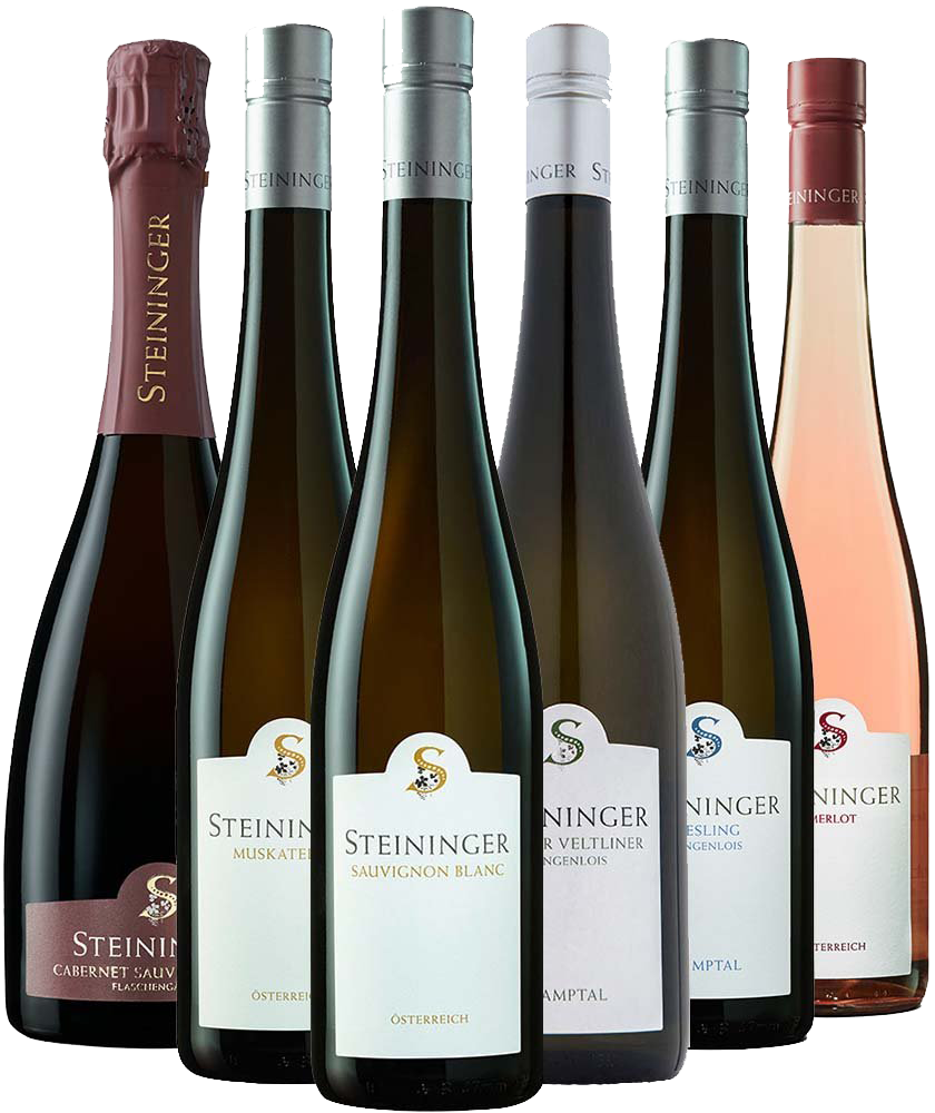 Steininger Kennenlern-Paket Steininger Kennenlern-Paket