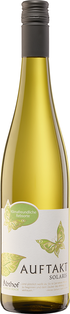 2024 Auftakt Solaris