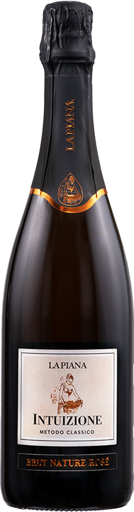 2020 Intuizione Lambrusco Grasparossa di Castelvetro DOC BIO 2020 Intuizione Lambrusco Grasparossa di Castelvetro DOC BIO