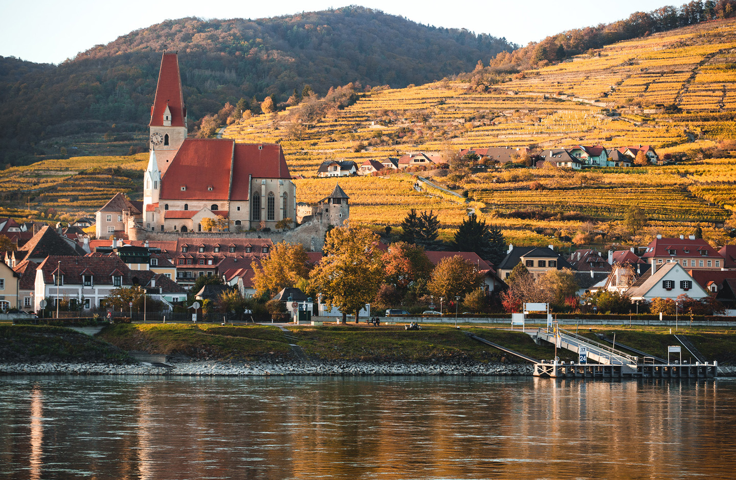 AT_generic_fallback_kit_vineyard_06