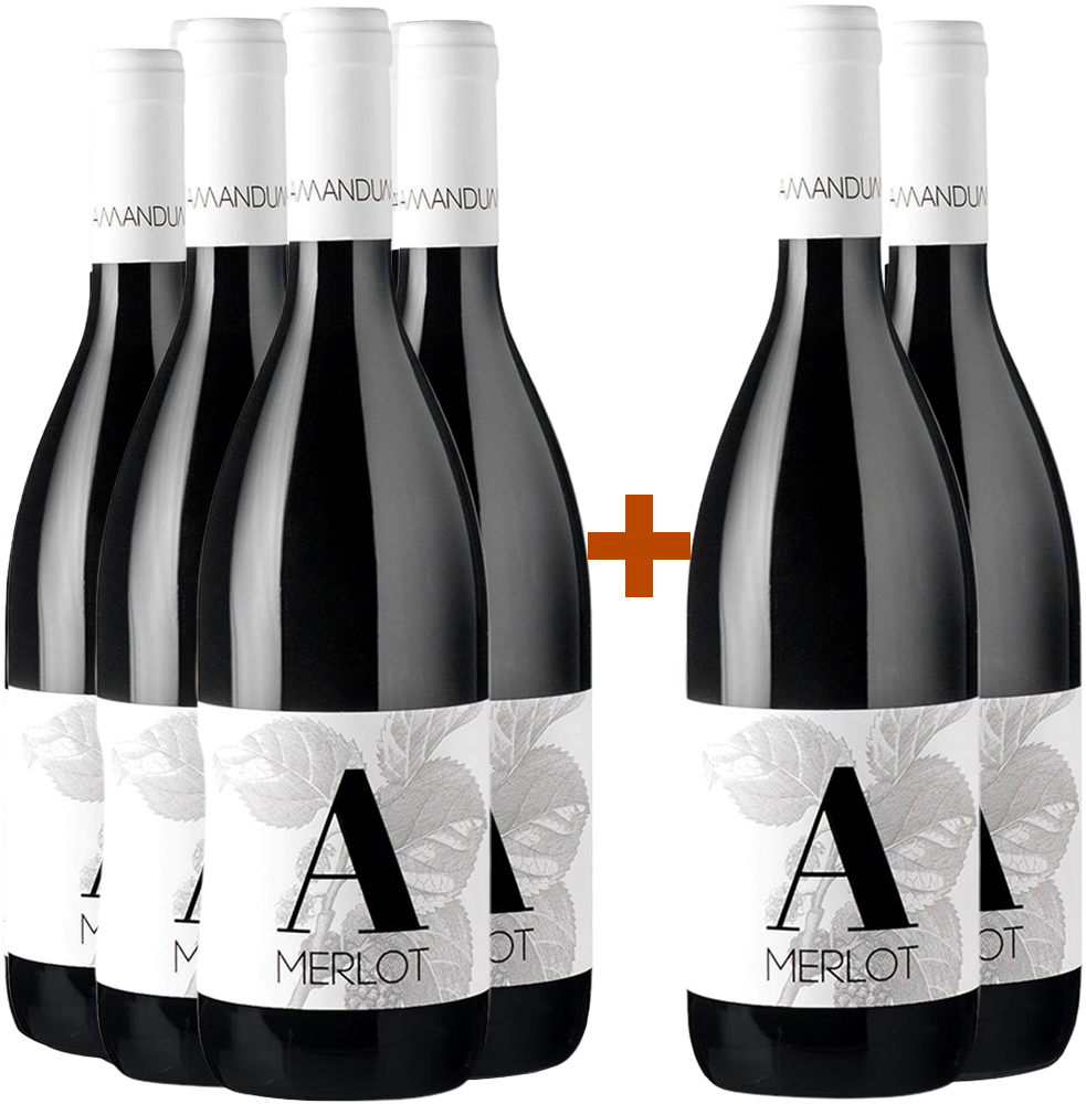 4+2 Paket Merlot Friuli Isonzo DOC 4+2 Paket Merlot Friuli Isonzo DOC