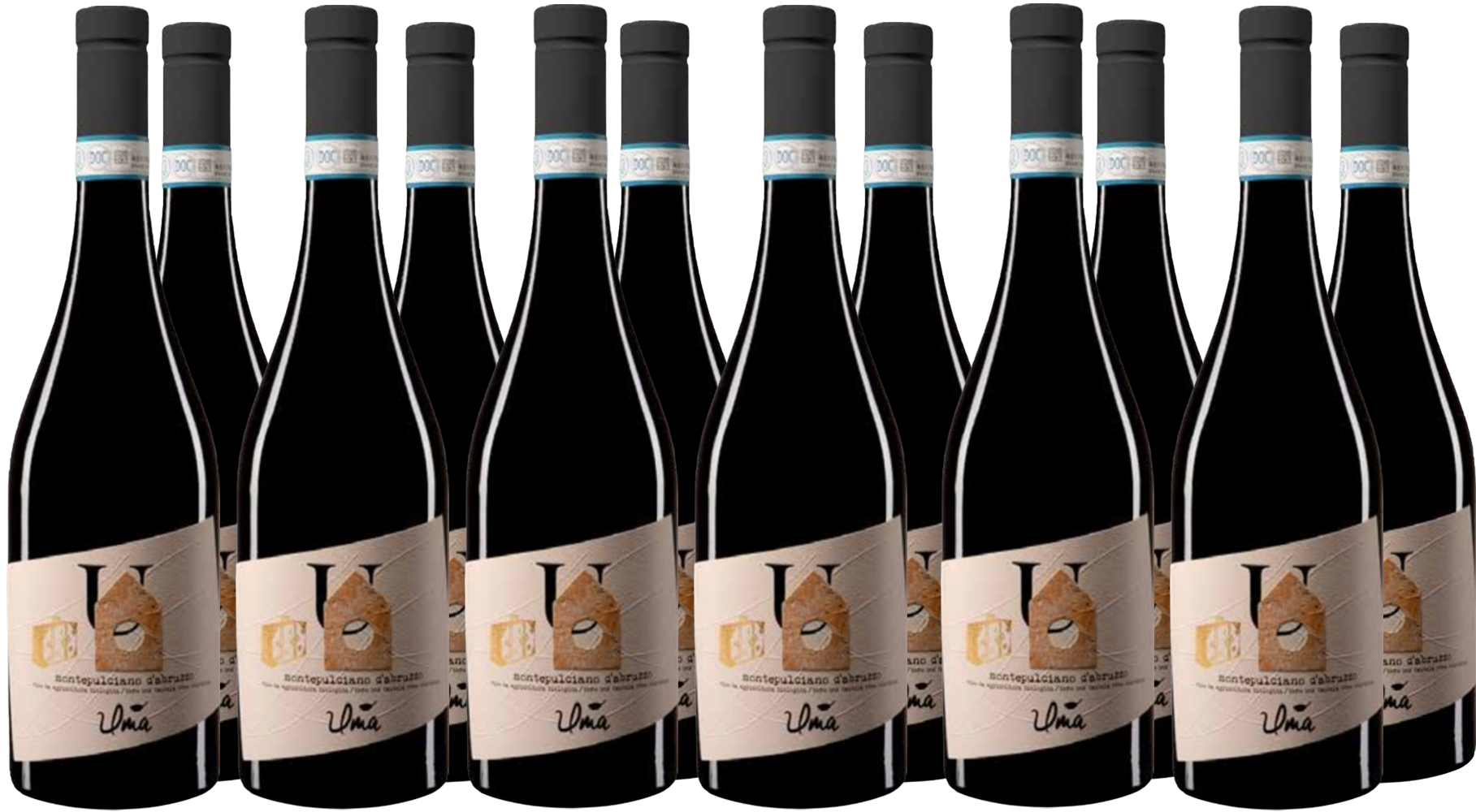 Rotweinpaket Montepulciano DOC 2021 BIO Rotweinpaket Montepulciano DOC 2021 BIO