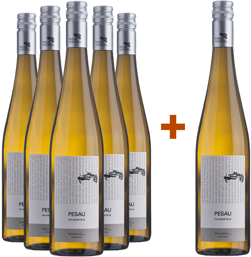5+1 Paket Weinviertel DAC Grüner Veltliner Falkenstein BIO 5+1 Paket Weinviertel DAC Grüner Veltliner Falkenstein BIO