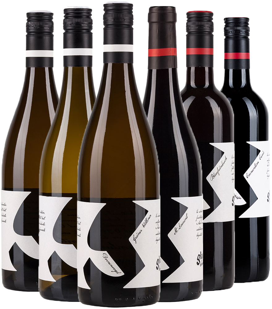 Glatzer Kennenlern-Paket