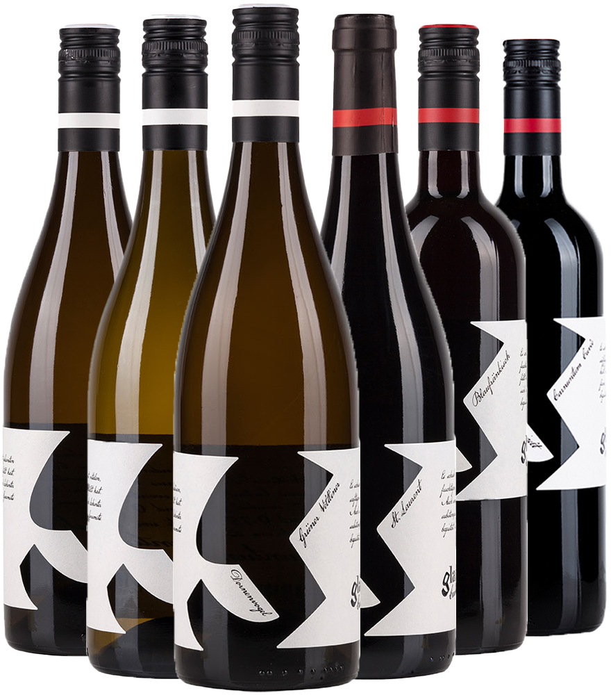 Glatzer Kennenlern-Paket Glatzer Kennenlern-Paket