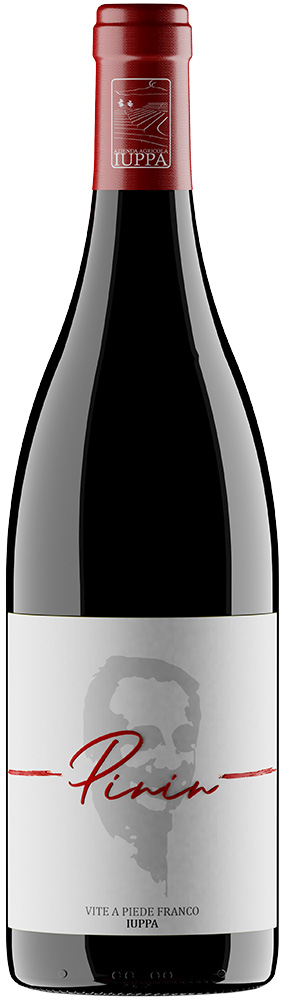 2021 Pinin Terre Siciliane Vite a piede franco IGP 2021 Pinin Terre Siciliane Vite a piede franco IGP