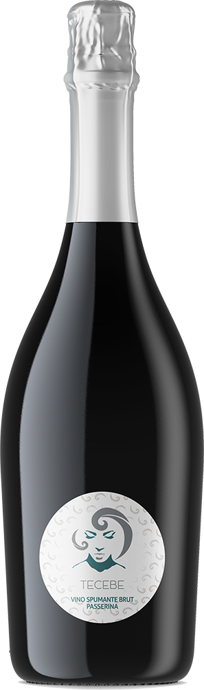 2024 Finezza-Tecebe