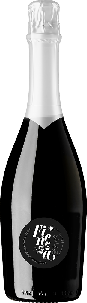 2024 Finezza-Tecebe 2024 Finezza-Tecebe