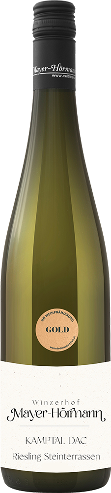 2024 Riesling Kamptal DAC Steinterrassen