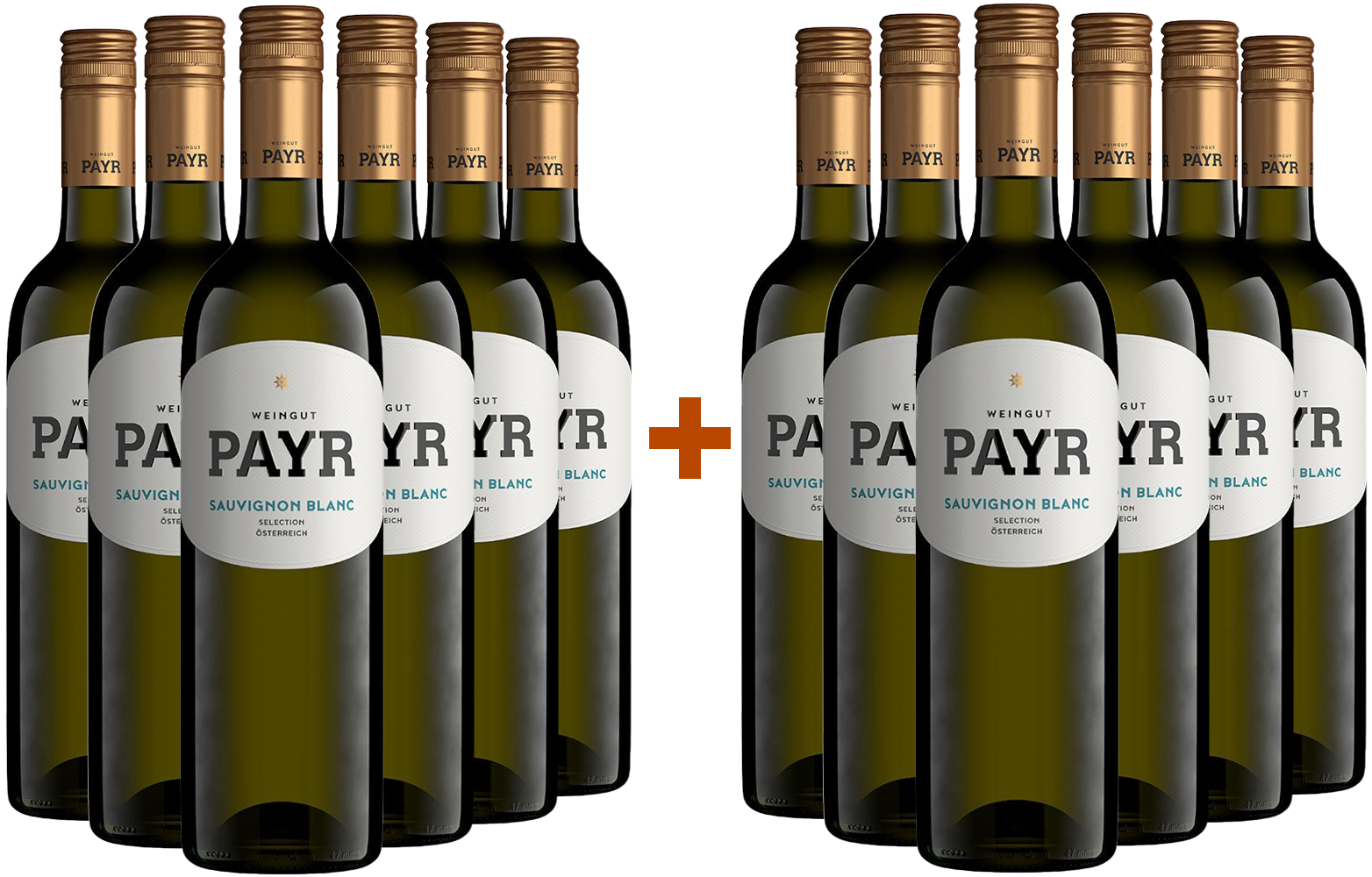 6+6 Sauvignon Blanc Selection ÖTW Gutswein Bio BIO