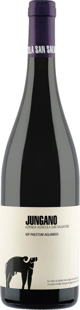 2021 Jungano Aglianico