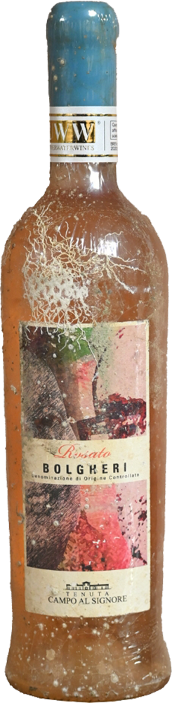 2021 Rosato UnderWaterWine Bolgheri DOC 2021 Rosato UnderWaterWine Bolgheri DOC