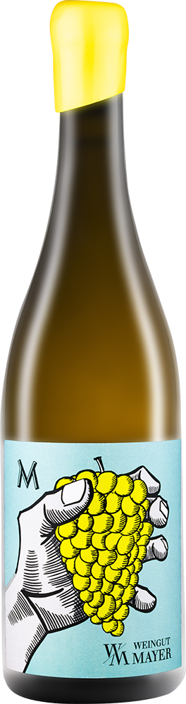 2024 Müller Thurgau M BIO