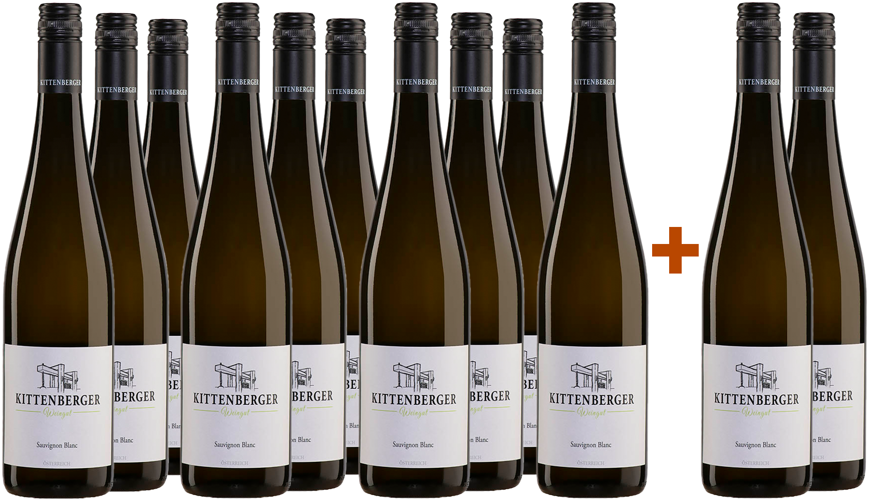 10+2 Paket Sauvignon Blanc trocken  10+2 Paket Sauvignon Blanc trocken