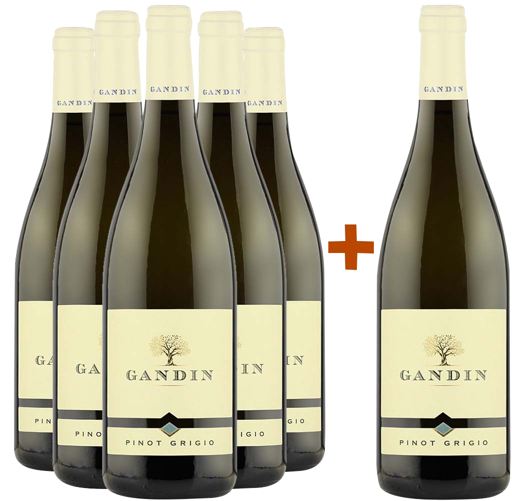 5+1 Paket Pinot Grigio Friuli Isonzo DOC 5+1 Paket Pinot Grigio Friuli Isonzo DOC