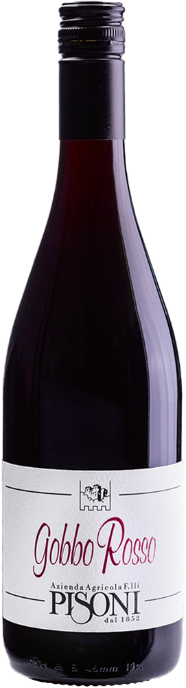 2024 Gobbo Teroldego Vigneti delle Dolomiti IGP BIO 2024 Gobbo Teroldego Vigneti delle Dolomiti IGP BIO