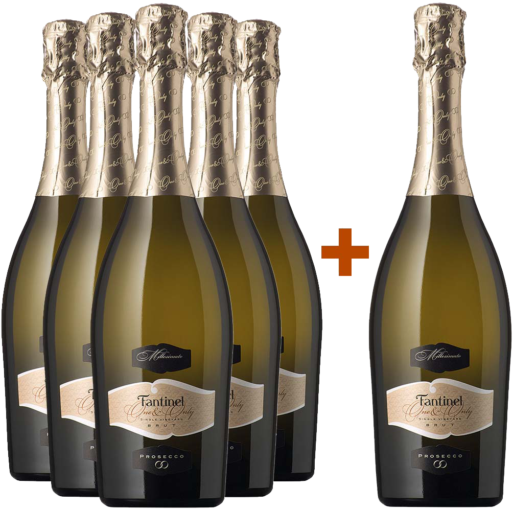 5+1 Paket One&Only Prosecco Millesimato DOC  5+1 Paket One&Only Prosecco Millesimato DOC