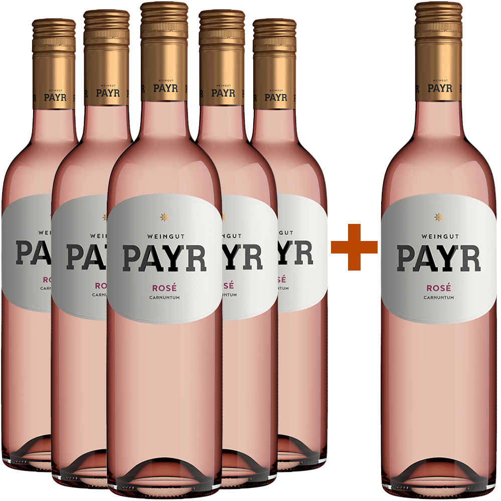 5+1 Rosé ÖTW Gutswein BIO BIO