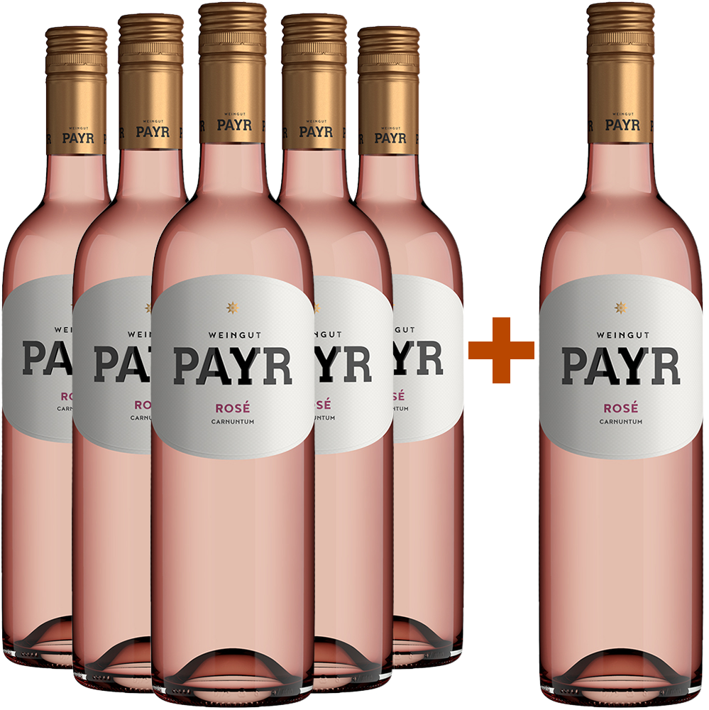 5+1 Rosé ÖTW Gutswein BIO BIO 5+1 Rosé ÖTW Gutswein BIO BIO