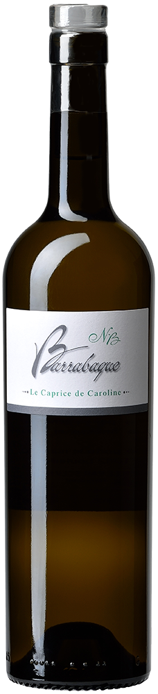 2024 Le Caprice de Caroline 2024 Le Caprice de Caroline