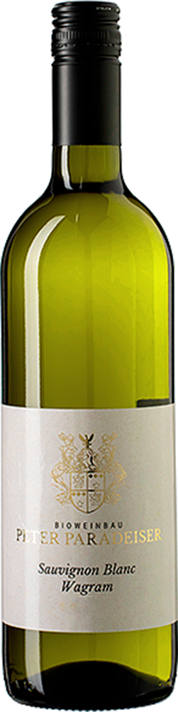 2024 Sauvignon Blanc BIO