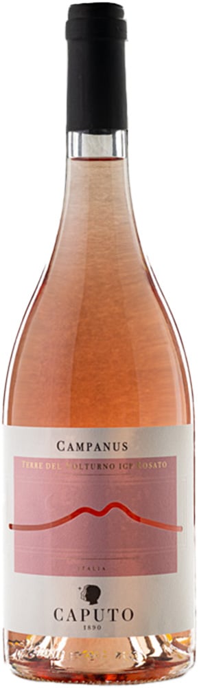 2021 Campanus Terre del Volturno Rosato IGP 2021 Campanus Terre del Volturno Rosato IGP