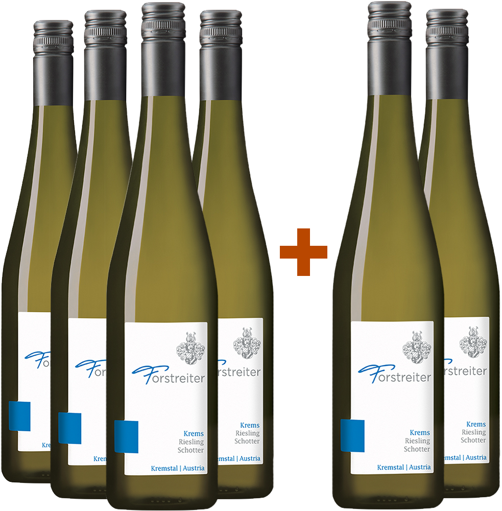 4+2 Paket Riesling Schotter Kremstal DAC