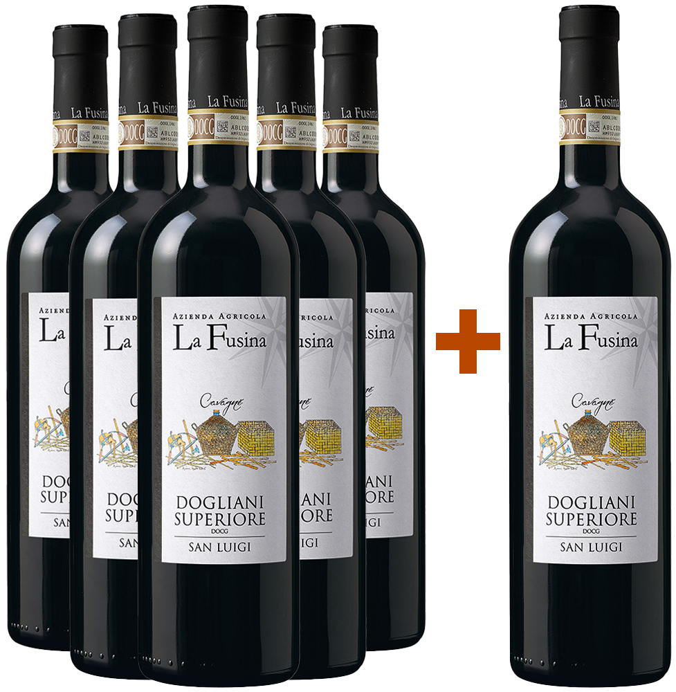 5+1 Paket San Luigi Cavagnè Dogliani Superiore DOCG 5+1 Paket San Luigi Cavagnè Dogliani Superiore DOCG