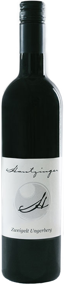 2019 Zweigelt Ungerberg 2019 Zweigelt Ungerberg