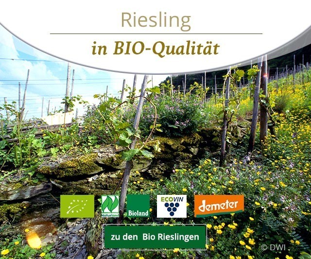 Riesling in Bio-Qualität