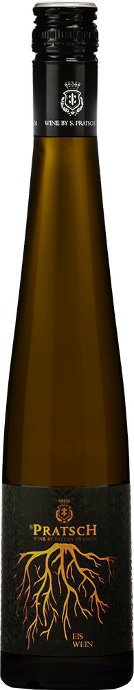 2025 Grüner Veltliner EISWEIN BIO 0,375 L