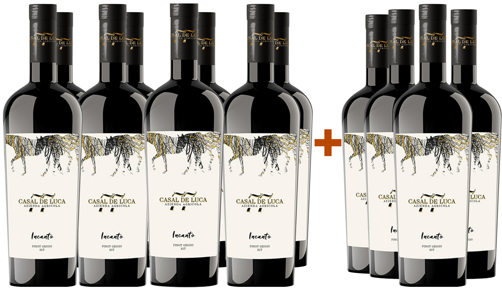 8+4 Paket Incanto Pinot Grigio Lazio IGP BIO