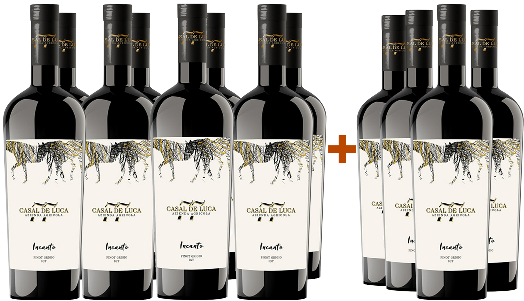 8+4 Paket Incanto Pinot Grigio Lazio IGP BIO 8+4 Paket Incanto Pinot Grigio Lazio IGP BIO